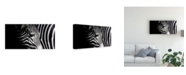 Trademark Global Takashi Suzuki Overlap of Stripes Canvas Art - 15" x 20"